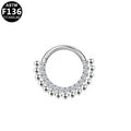 ASTM F136 Titanium 16G Segment Clicker CZ Hypoallergenic Piercing Jewelry